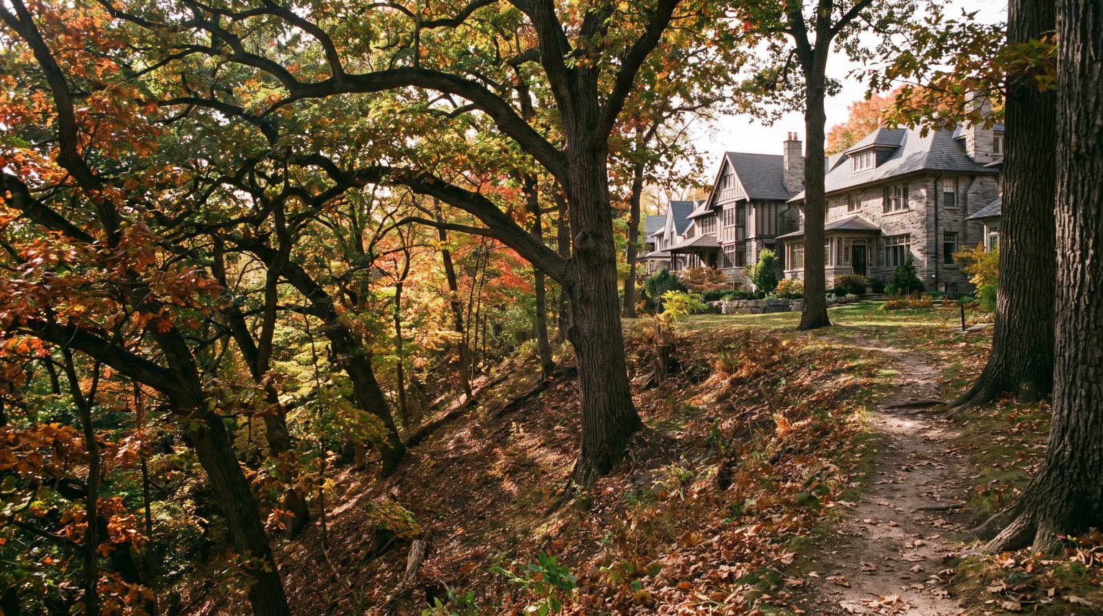 A wooded ravine slope with mature oaks and houses set back at the top of the bank in High Park and Swansea, Toronto