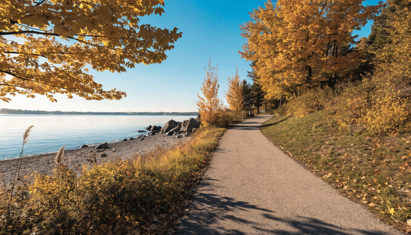 Top 5 Parks in Etobicoke (2026): Waterfront Trails, Hidden Gardens and What They Do to Property Values