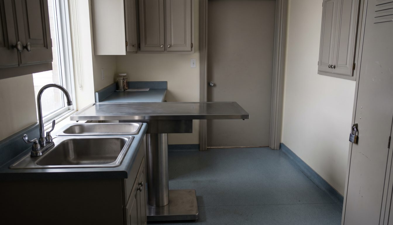 Empty veterinary clinic treatment area with stainless table, drained sink and cabinetry in daylight