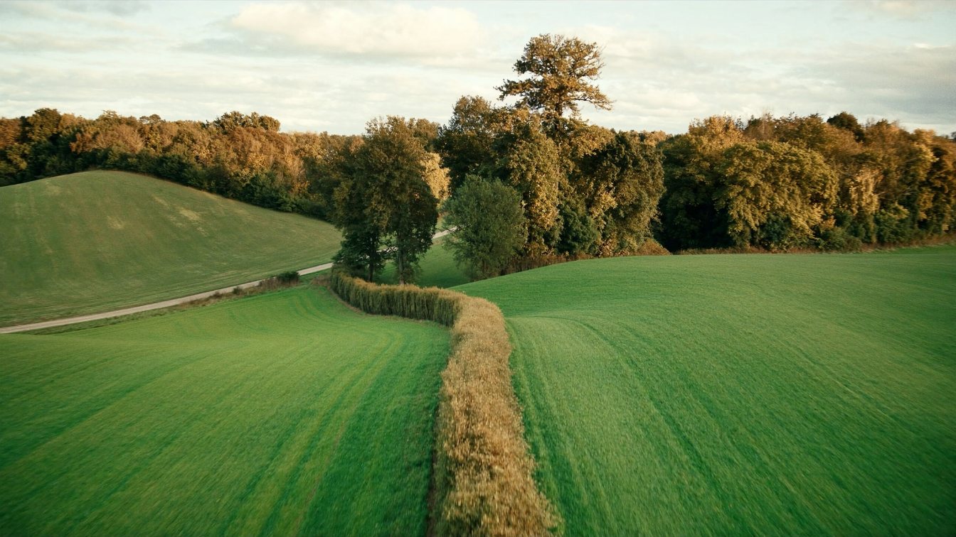 Rolling farmland and a woodlot on the Oak Ridges Moraine north of Toronto (illustrative)