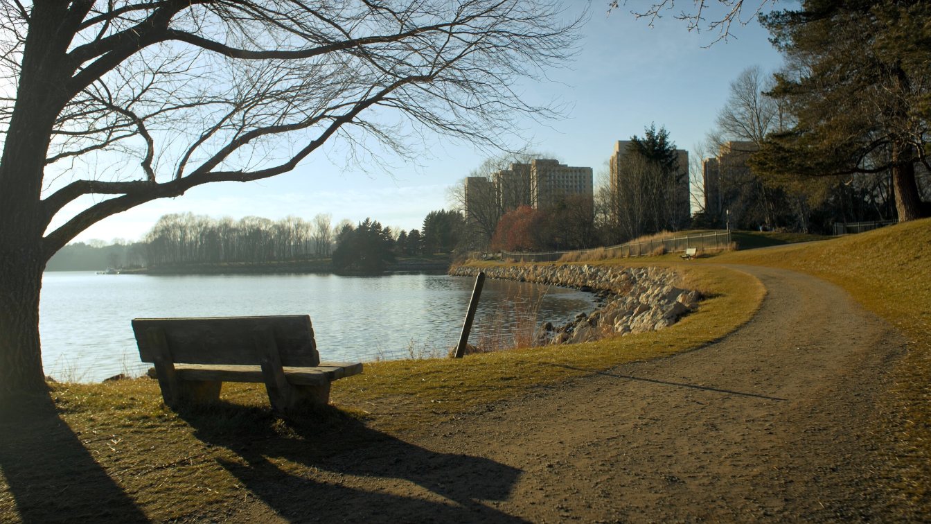 Condominium towers near a Lake Ontario waterfront trail in Durham Region at golden hour (illustrative)