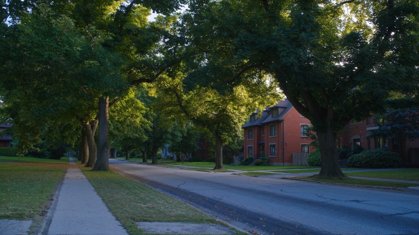 Tree-lined midtown Toronto street of large brick detached houses with deep front lawns in late summer (illustrative)