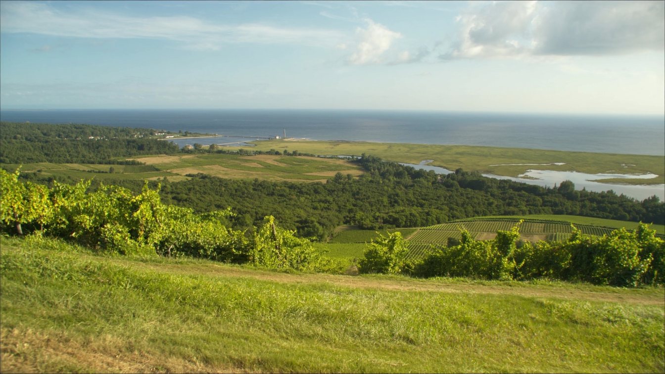 Vineyards sloping down toward Lake Ontario with a wide marshy harbour at the mouth of a creek in Lincoln (illustrative)