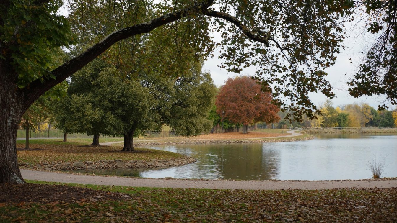 Park pond and walking path in Brampton, Ontario, with mature trees in early autumn (illustrative)