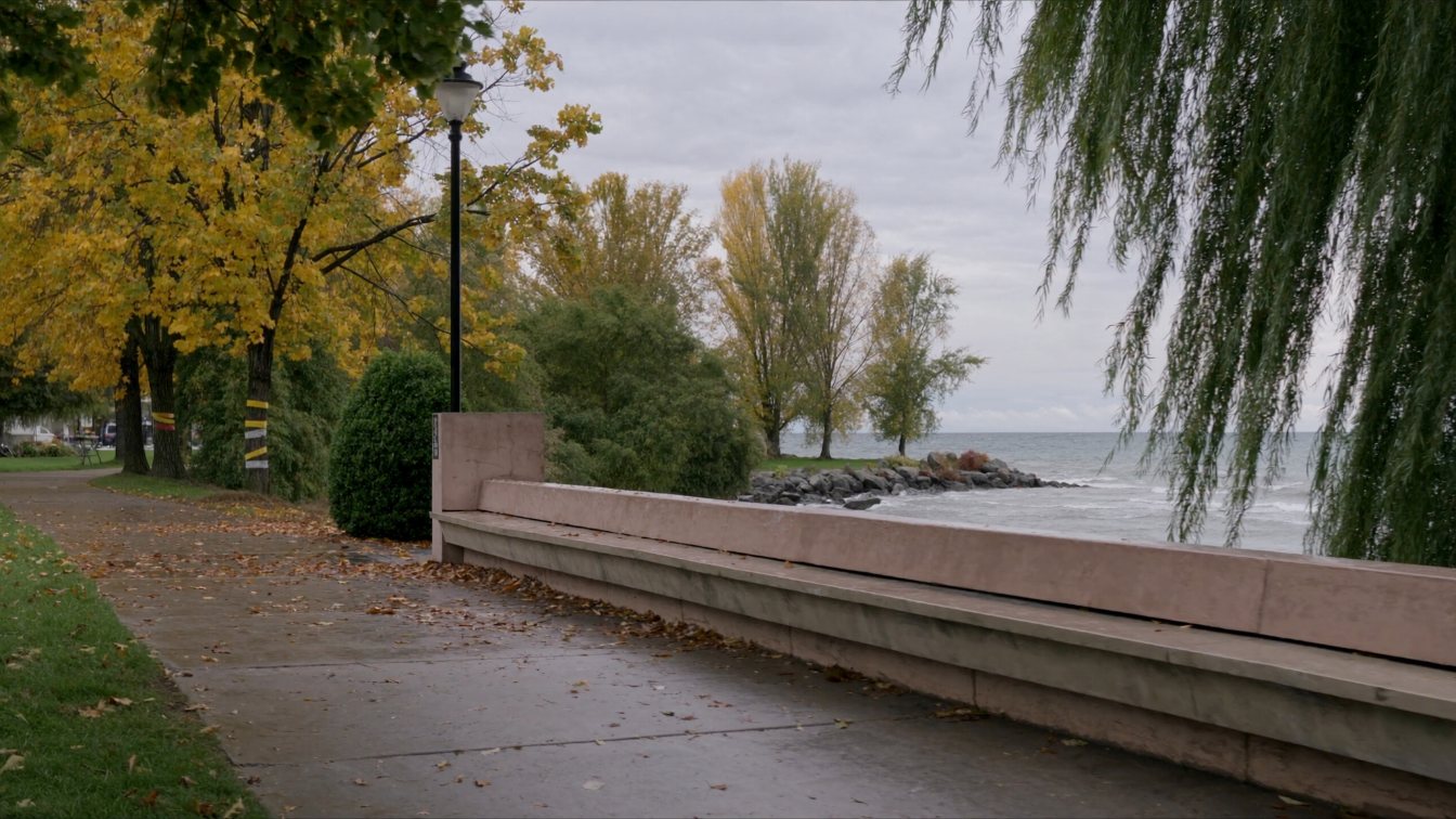 Lake Ontario waterfront park in Port Credit, Mississauga, with a bench under autumn trees (illustrative)