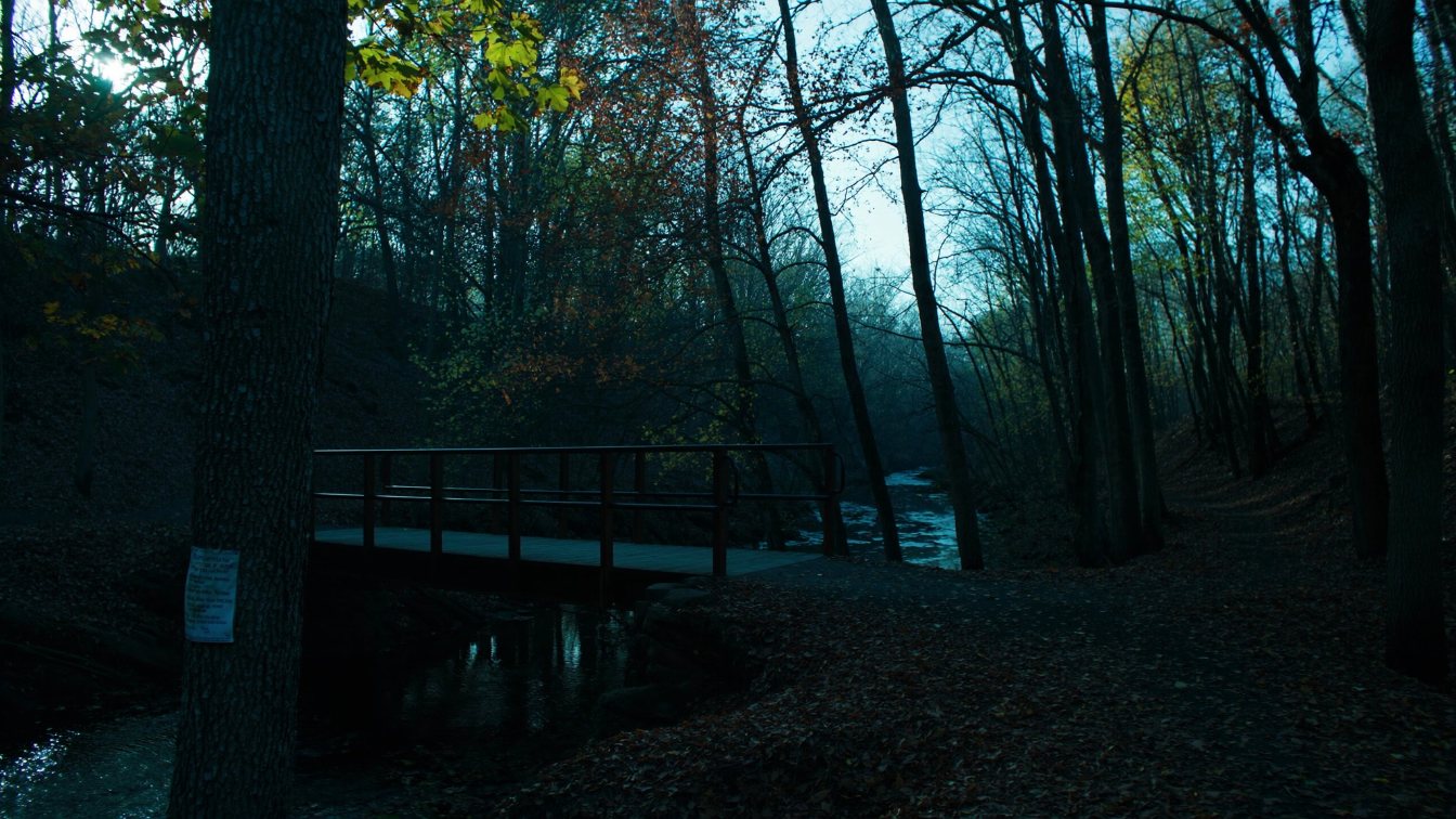 Tree-lined ravine trail in North York with a footbridge over a creek in early autumn (illustrative)