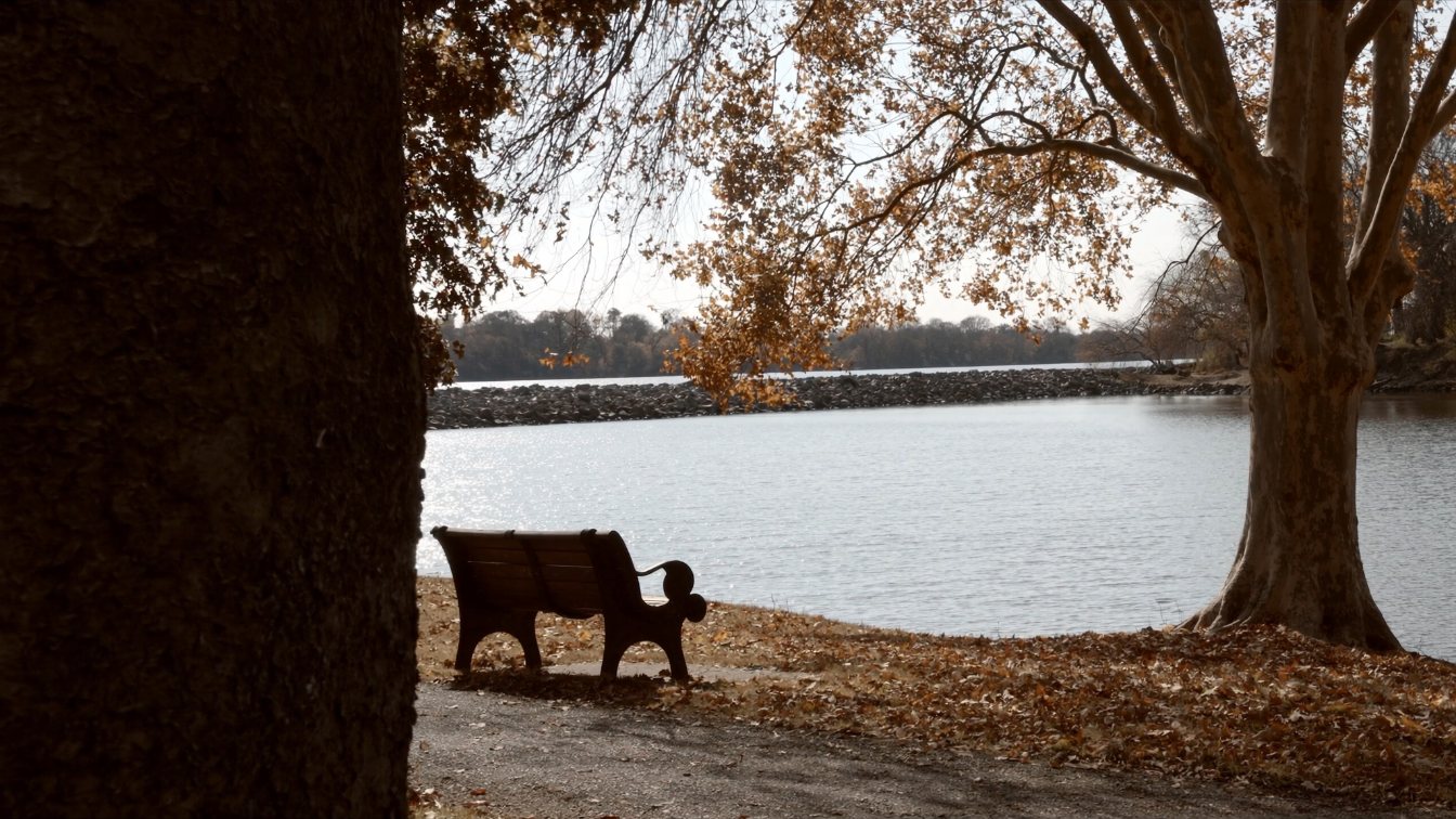 Lake Ontario shoreline trail with benches and autumn trees east of Toronto (illustrative)
