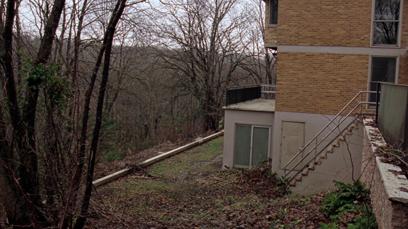 House with a walk-out basement backing onto a wooded ravine (illustrative)