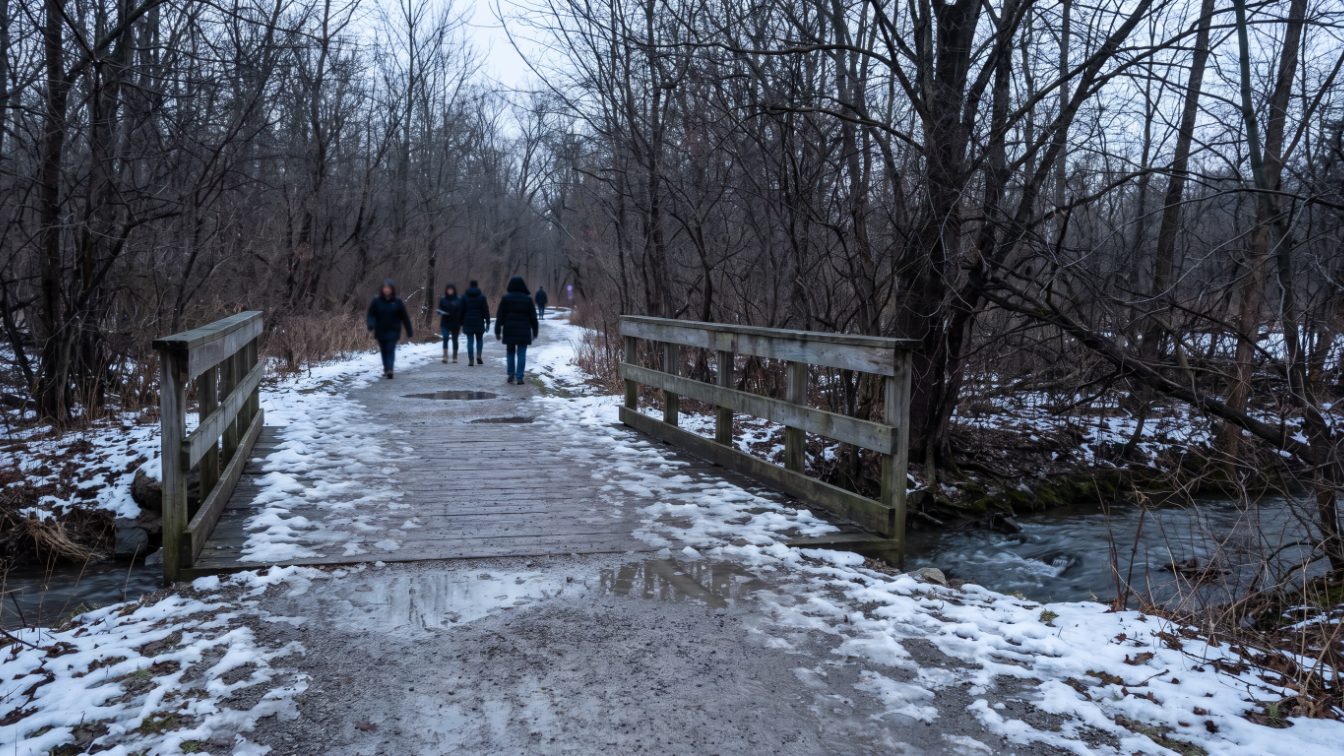 Park path with melting snow, bare trees and a small footbridge in late winter (illustrative)