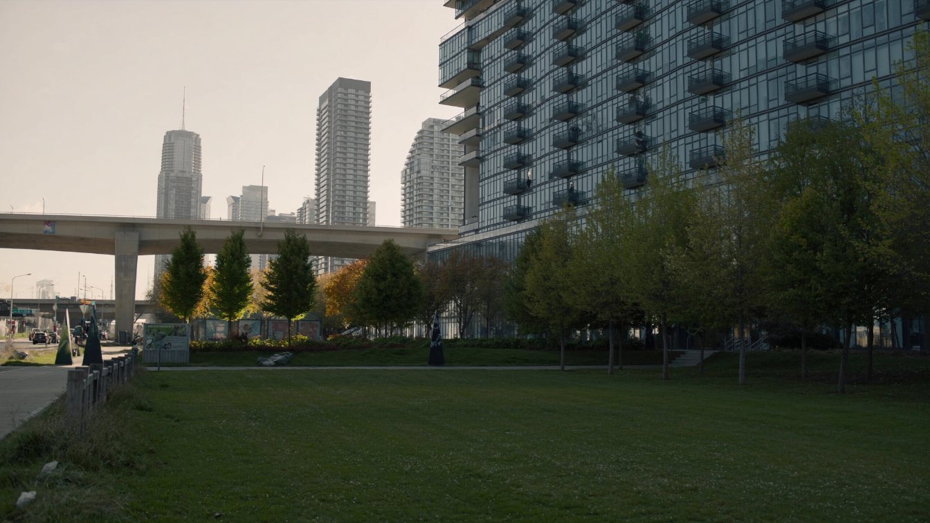 Open lawn and trees in a downtown Toronto park surrounded by glass condo towers near the Gardiner Expressway (illustrative)